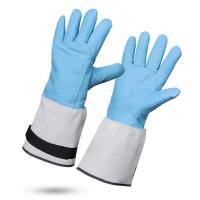 Köldskyddsisolerande Handske Rostaing CRIO