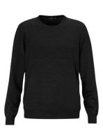 Tröja Ernst Alexis 18030 rundhals